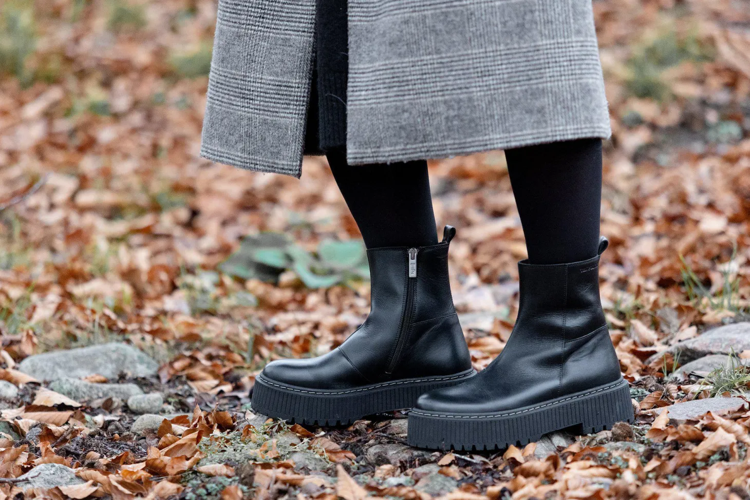 Alina Ankle boots — Black