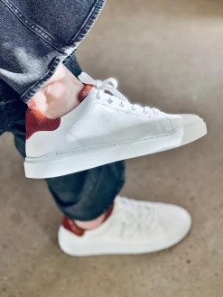 Isolde Sneakers — White/Cognac