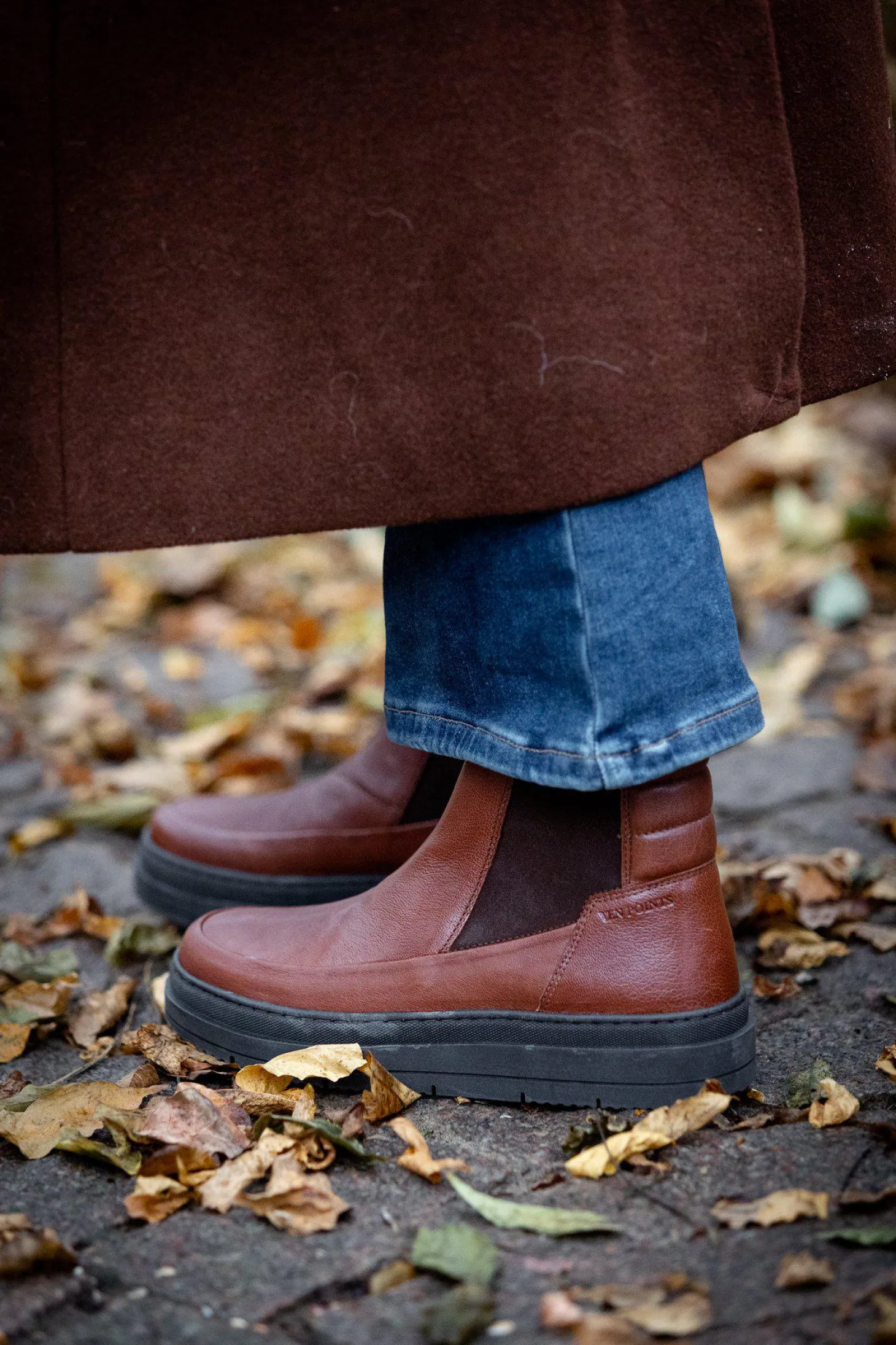 Larina Chelsea boots — Roasted brown
