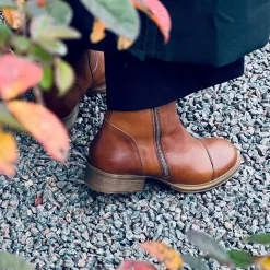 Pandora Ankle boots — Cognac