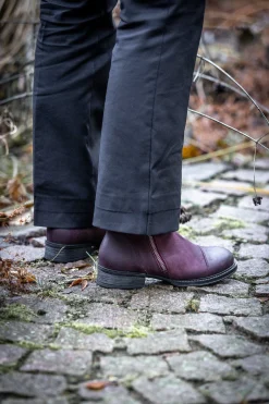 Pandora Ankle boots — Wine