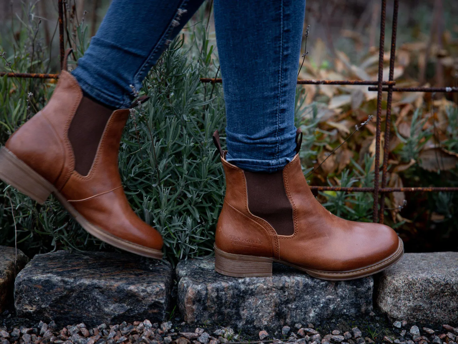 Pandora Chelsea boots — Cognac
