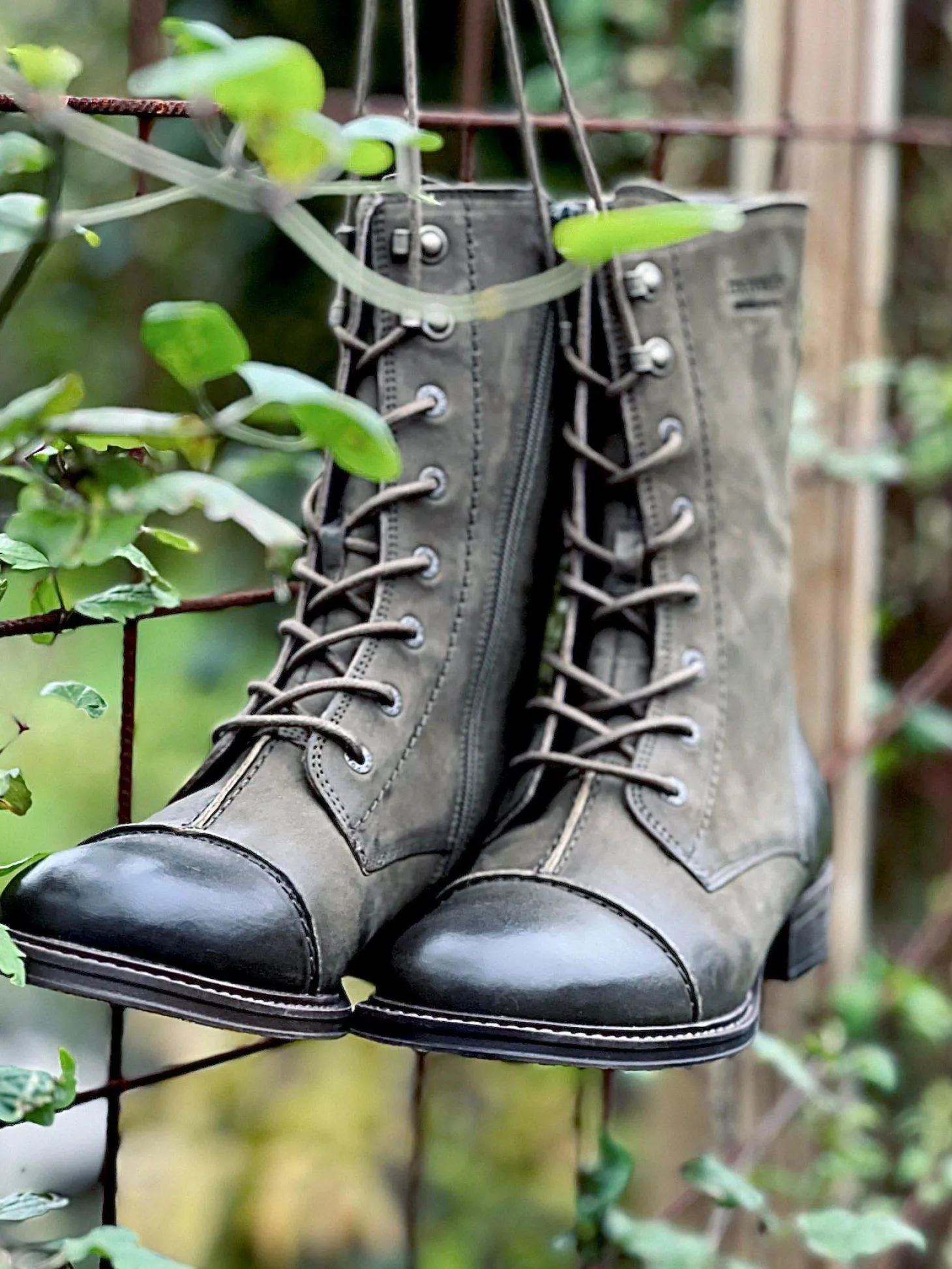 Pandora Laced boots — Khaki