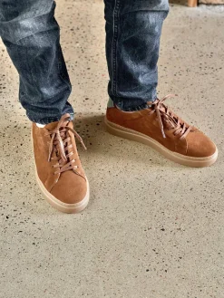 Tristan Sneakers — Brown